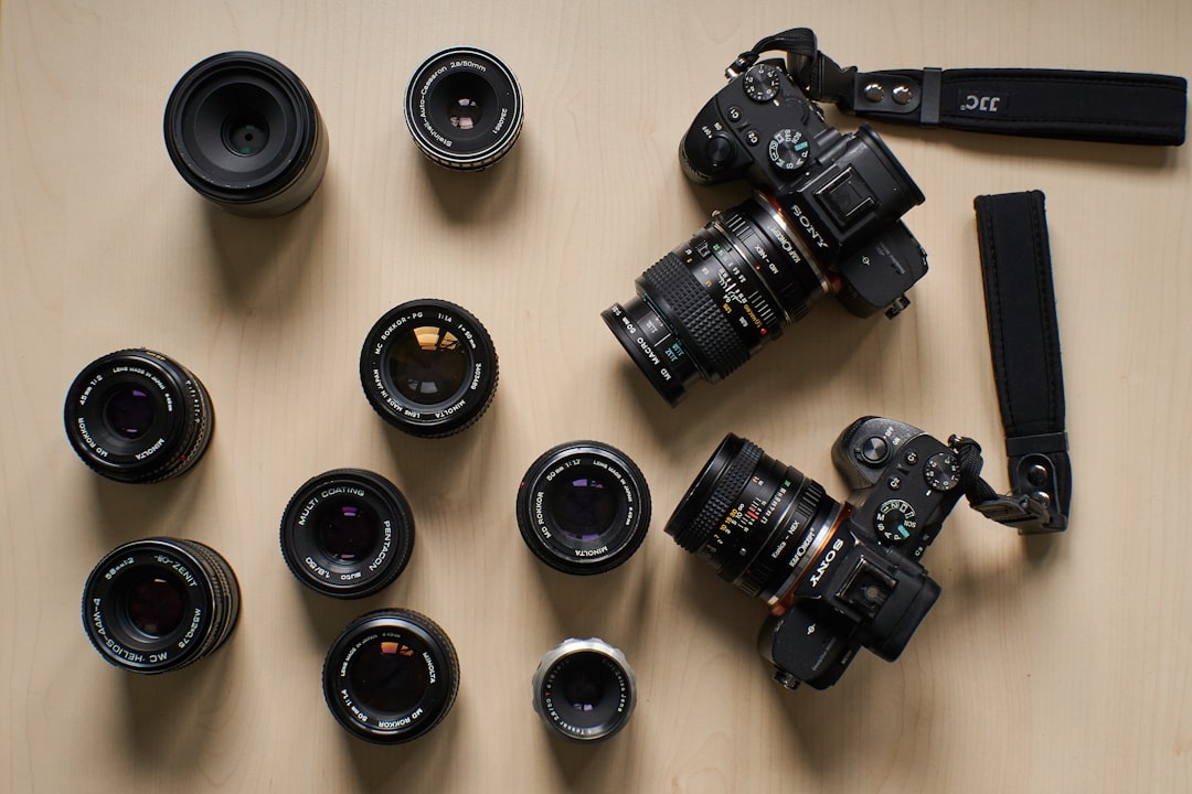 Comparing DSLR vs Mirrorless Cameras: Which Is Best?